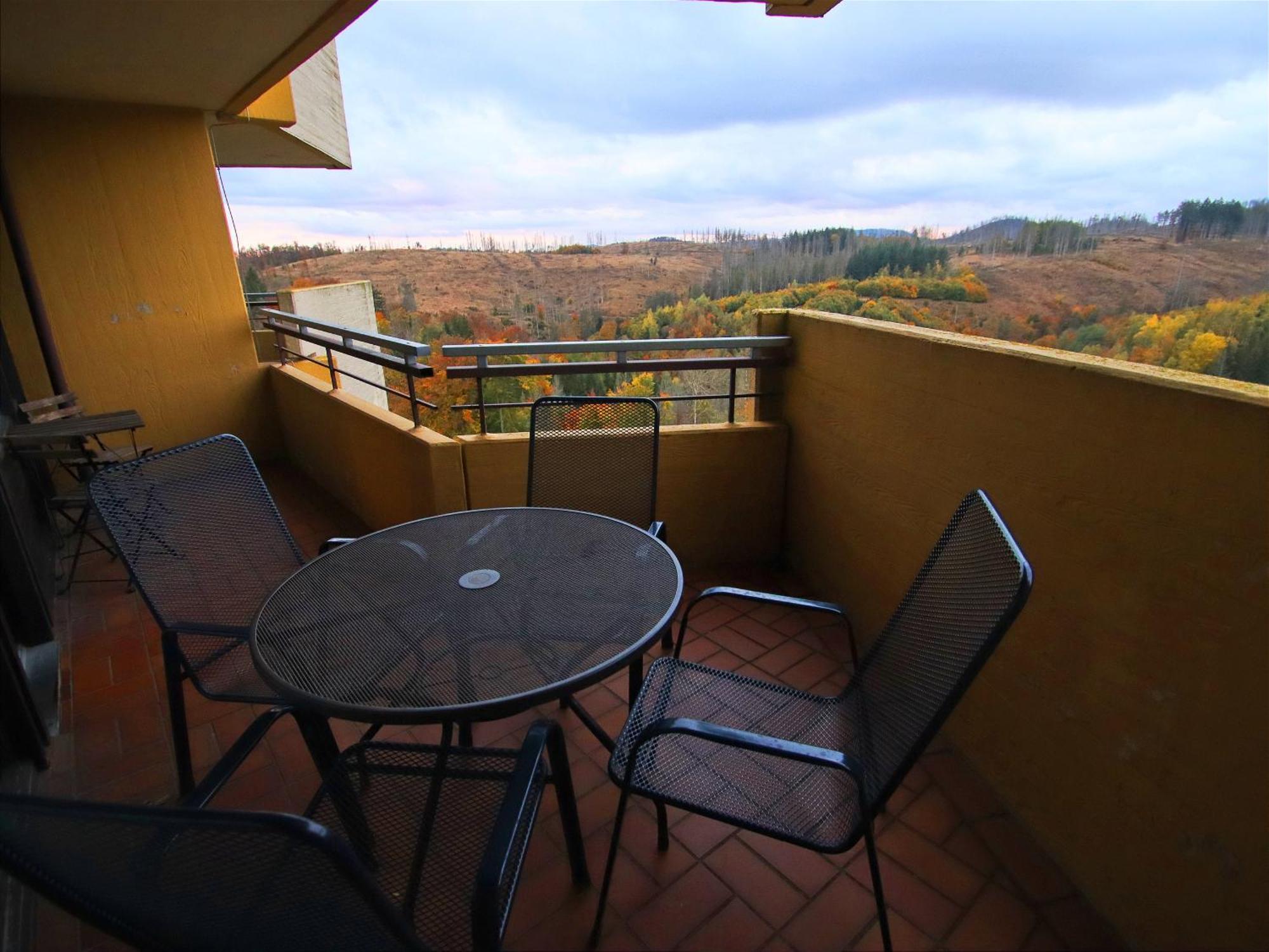 Braunlage-hohegeiss 471 Harz Mit W-lan Appartement Hohegeiß