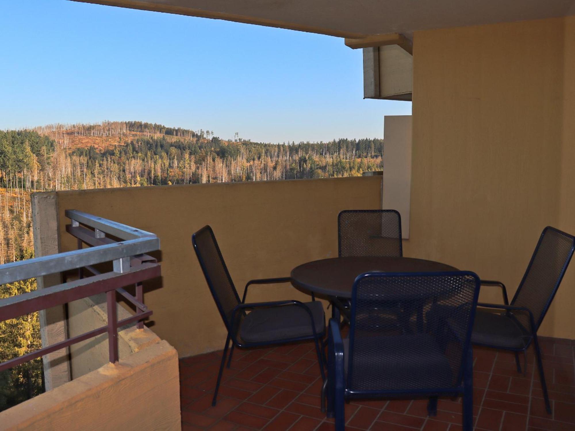 Braunlage-hohegeiss 471 Harz Mit W-lan Appartement Hohegeiß